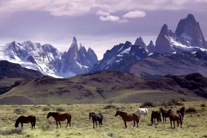 patagonia1