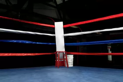 box-ring1