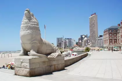 mdq