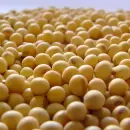 Las Bolsas de Cereales expresaron su rechazo al cierre de las exportaciones de aceite y harina de soja