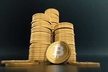 Virtual-Cryptocurrency-Currency-Money-Bitcoin-3024279