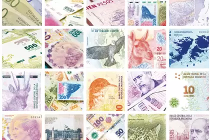 Mosaico-pesos