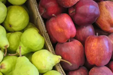 Peras-Manzanas-fruticolas