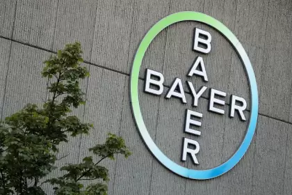 Bayer-2-Eli