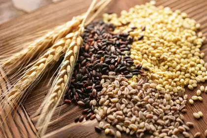 Los cereales impulsaron el aumento en los precios internacionales de los aliment