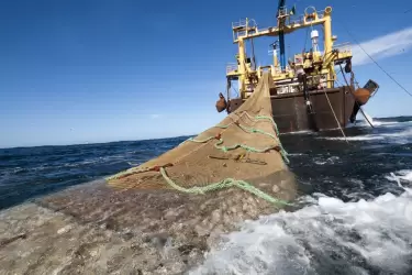 La pesca ilegal en el Atlántico Sur.