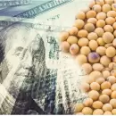 El precio de la soja superó sus máximos históricos en Chicago y la tonelada cotiza por encima de los US$ 650
