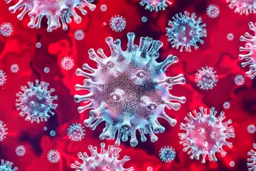 Coronavirus-virus