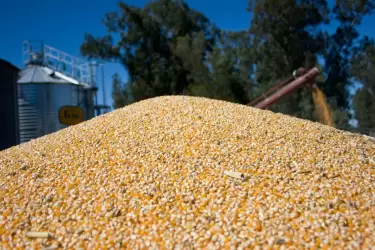 El cargamento estaba compuesto por 774 toneladas de maíz, 112 toneladas de aceit