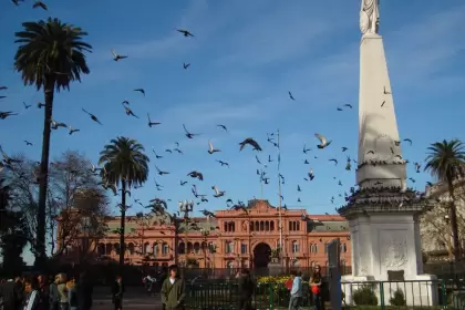 rosada