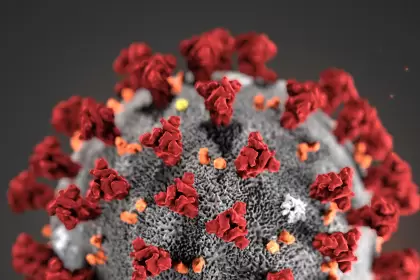 coronavirus
