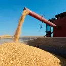 Hito: las exportaciones de granos podrían superar los US$ 40.500 millones
