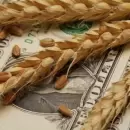Cantado: el trigo se acerca a US$ 400 por tonelada y Comercio oficializó el fideicomiso