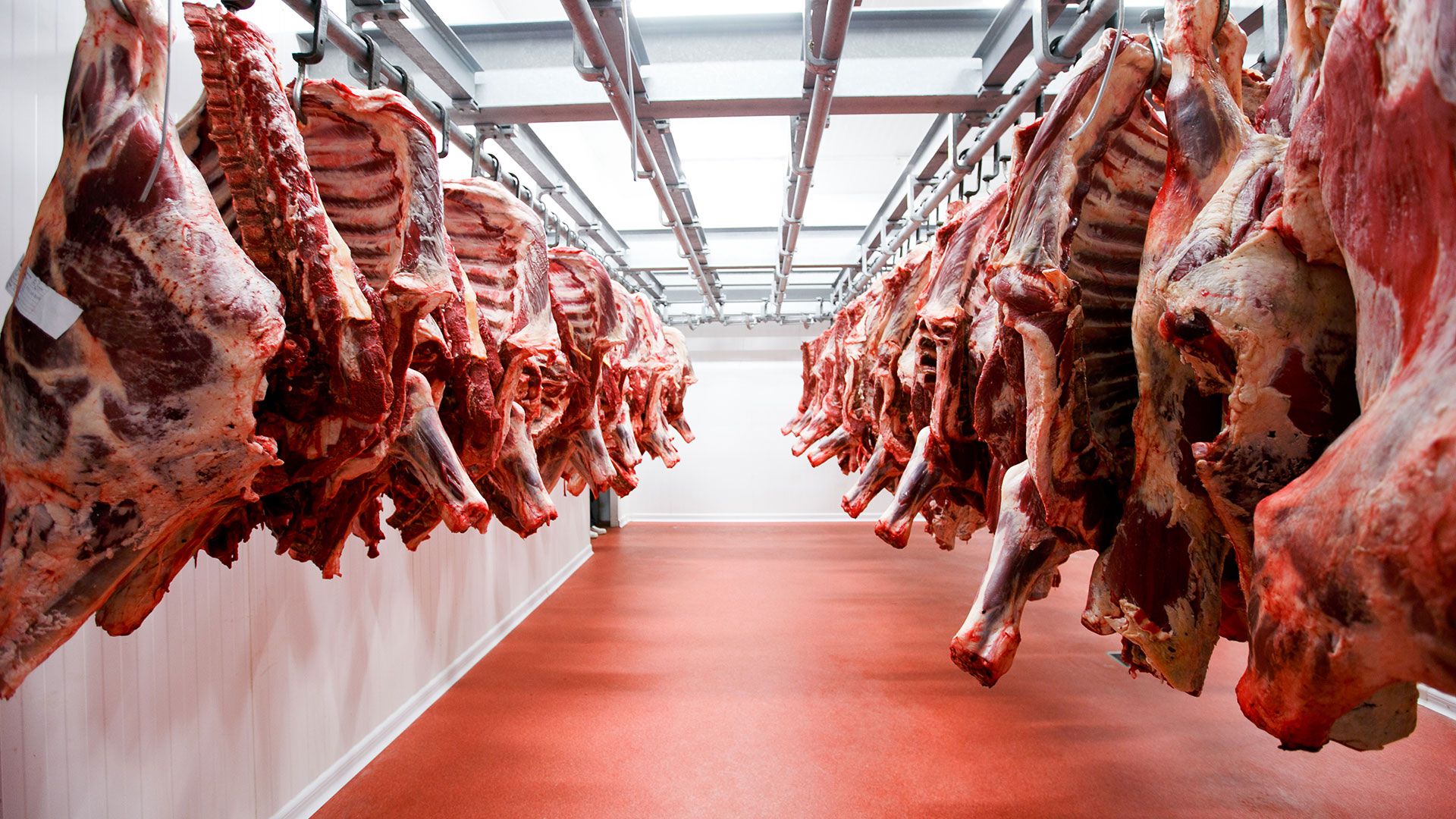 Las exportaciones de carne se desplomaron 33,4% durante julio - El  Economista