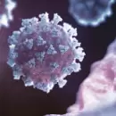 La OMS vigila dos nuevos linajes de la variante de coronavirus Omicron