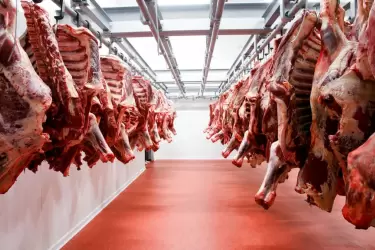 En agosto las exportaciones de carne registraron un alza.