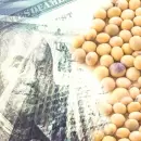 Con la soja en US$ 650, el BCRA apenas compró US$ 33 millones en junio: alerta por el 2° semestre