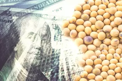 China acelera las compras de soja a la Argentina, Brasil y EEUU