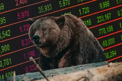 bear-market-1