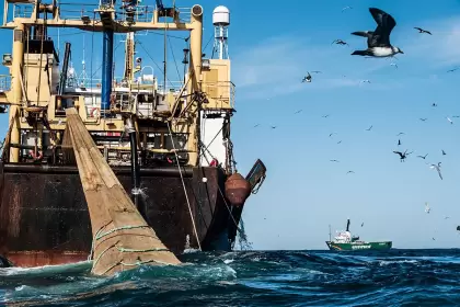 Hacia un competitivo modelo pesquero nacional en Argentina