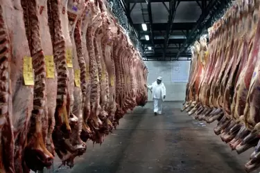 Los ingresos no se vieron afectados por la baja en las exportaciones de carne va
