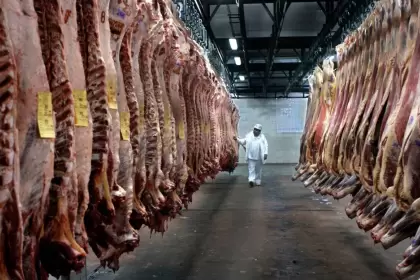 El Gobierno habilitó el cupo arancelario para exportar carne vacuna a los Estados Unidos