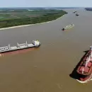 Se perdieron US$ 620 millones en exportaciones de harina y aceite de soja por la bajante del Paraná