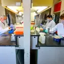Vacuna argentina neutraliza en laboratorio la variante Delta