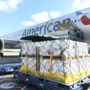 Arribó un avión con otras 776.880 vacunas de Pfizer y Argentina superó las 75 millones de dosis