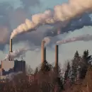 24 pases se suman al pacto contra las emisiones de metano