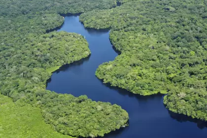 El Amazonas.