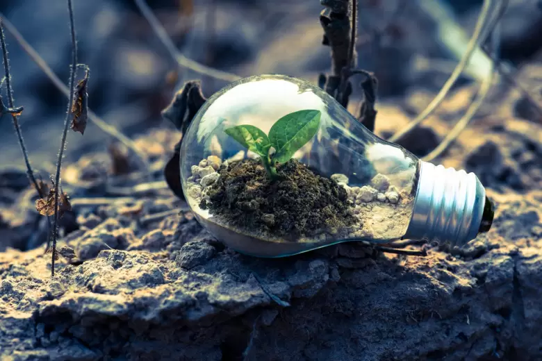 La pandemia potenció el interés climático de los inversores (pero aún no de todos)