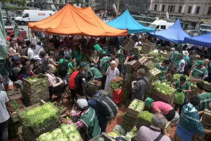 Precios congelados: Feletti apunta al Mercado Central