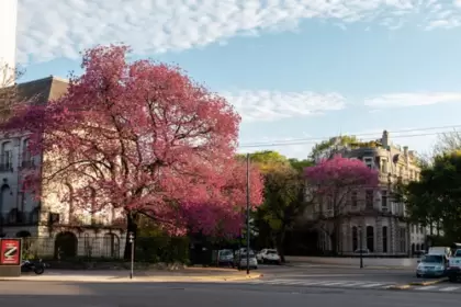 Clima en Buenos Aires: pronóstico del tiempo hoy 11 de noviembre