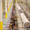 EE.UU.: Amazon deber pagar US$ 500.000 por ocultar casos de COVID a sus empleados