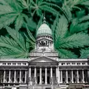 Es momento de discutir la despenalización del consumo de cannabis