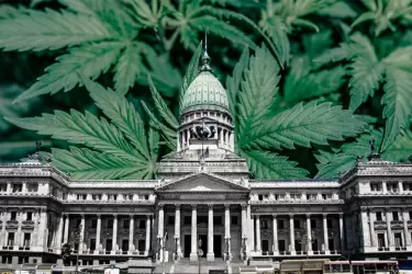 Es momento de discutir la despenalización del consumo de cannabis
