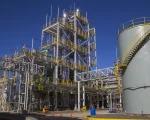 El desafío es construir un nuevo marco legal de largo plazo que incentive inversiones, y agregue valor a la producción agroindustrial.