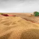 Superlunes para las commodities: la soja volvió a superar US$ 600 en Chicago y el trigo saltó más de 10%