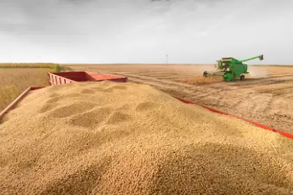 Se negociaron más de 3 millones de toneladas de soja con el dólar a $ 200