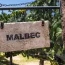 El plan en marcha para que el Malbec tenga "arancel cero" en China