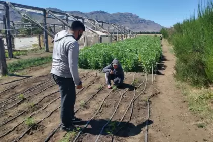 El Gobierno aprueba financiamiento del BIRF por US$ 400 millones para la producción de agroalimentos