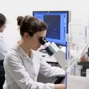 Argentina vuelve a tener un plan de innovación: por qué es una buena noticia