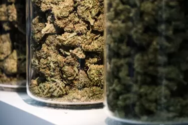 Malta se convierte en el primer país europeo en legalizar el cannabis recreativo