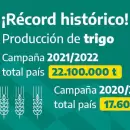 El regalo de Navidad del agro argentino: la mejor cosecha de trigo de la historia