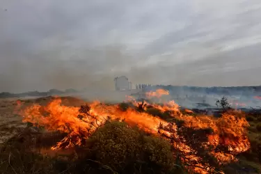 Desastre en Puerto Madryn: el incendio consumió "entre 80.000 y 90.000 hectáreas"