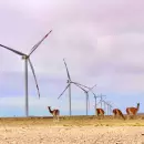 Vestas firma un acuerdo con Pampa Energía para promover la energía eólica en Argentina