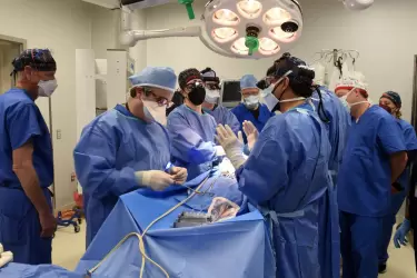 Cirugía histórica en Estados Unidos: hombre recibe trasplante de corazón de un cerdo genéticamente modificado