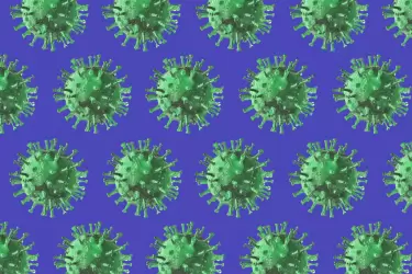 Los casos y muertes por coronavirus se mantienenen niveles bajos.