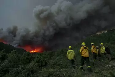 Récord de incendios forestales en todo el país: nueve provincias con focos activos